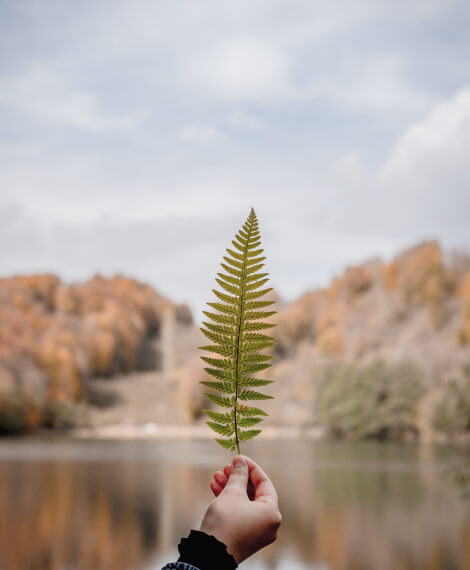 Sample Page Leaf
